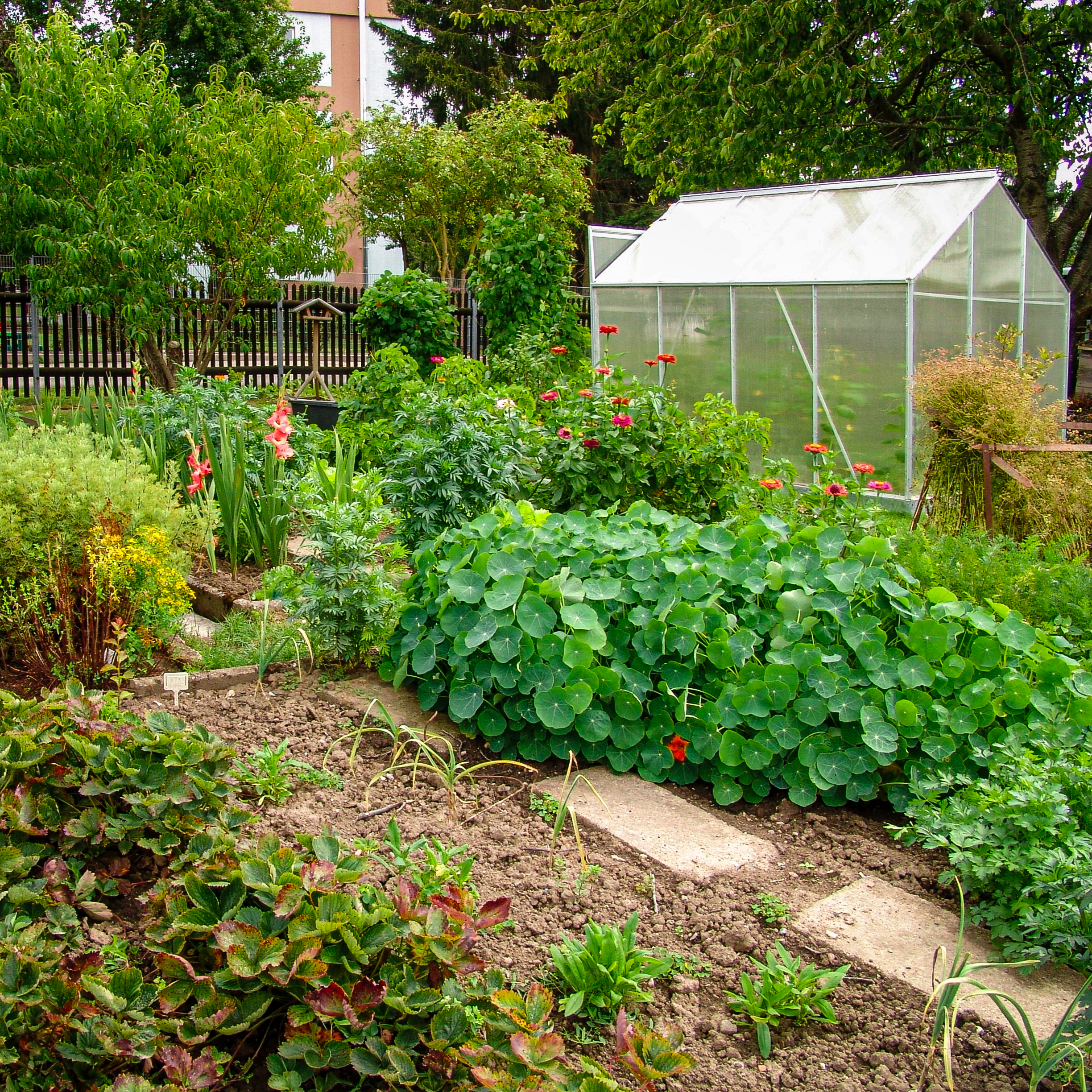 Garten im Sommer