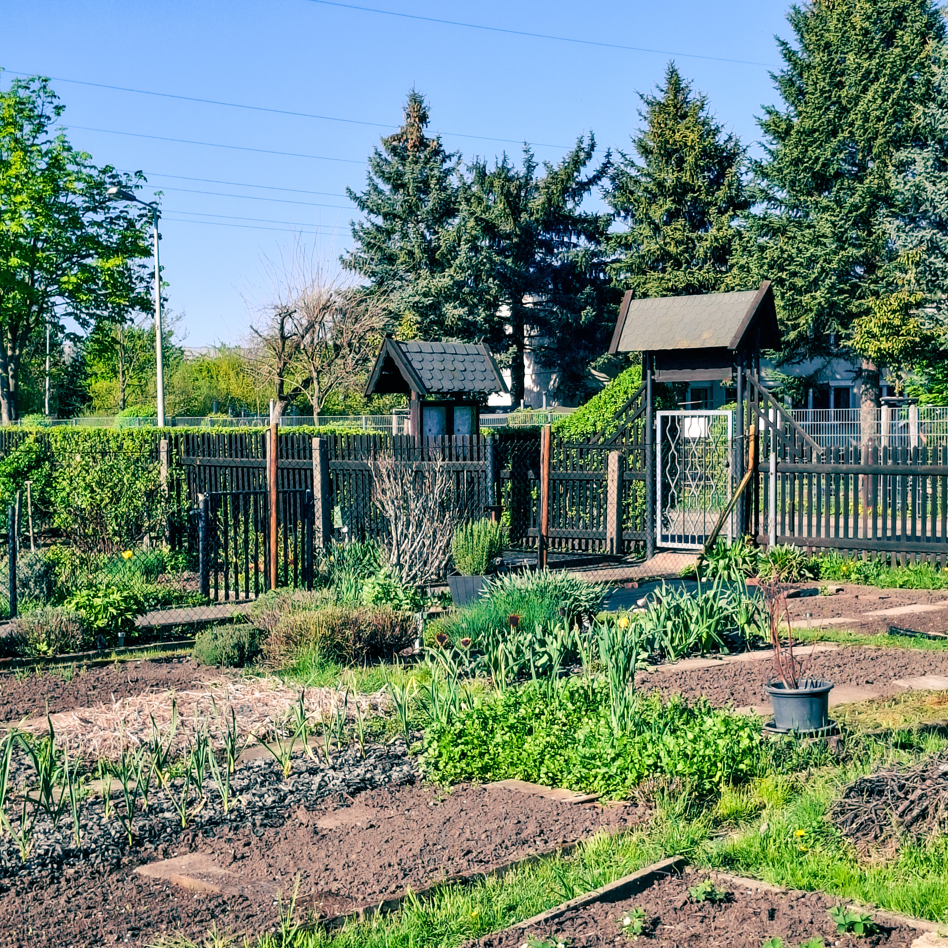 Garten in Zwickau